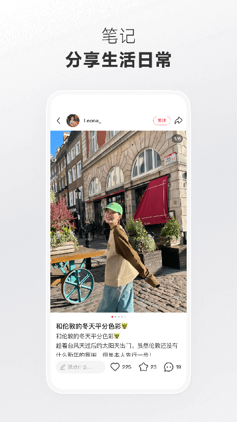 猫咪尾巴卷起花瓣在书页间拼字的壁纸